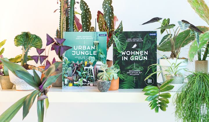 urbanjunglebloggers-urban-jungle-books-wohnen-in-gruen